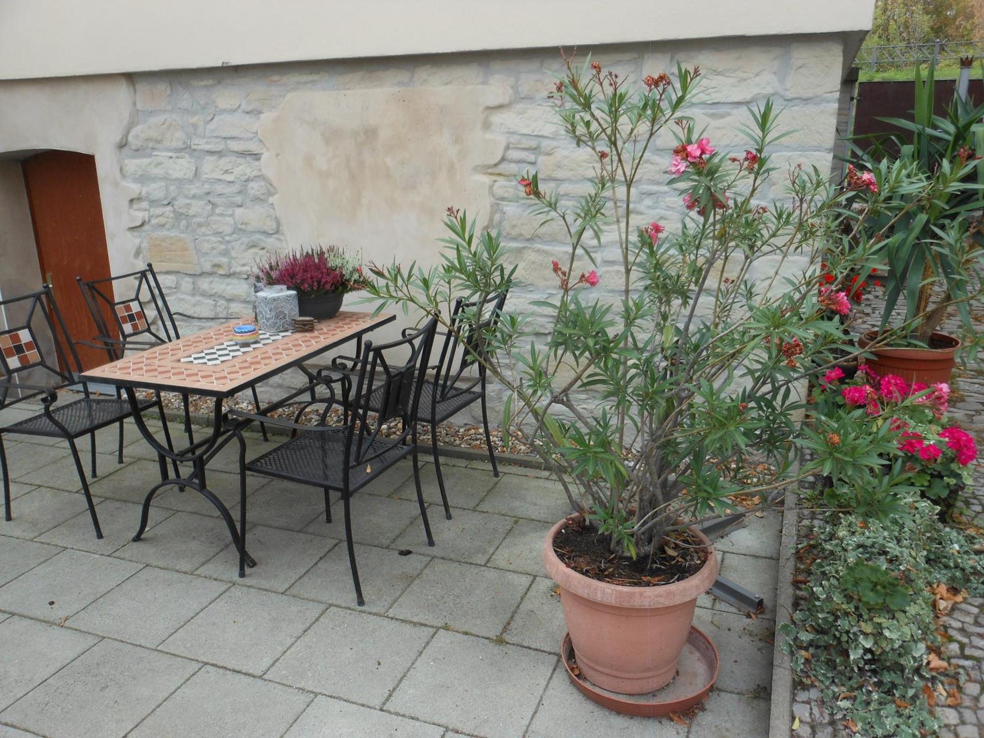 Pension Am Werder Bernburg Exterior foto